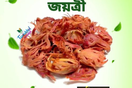 জয়ত্রী