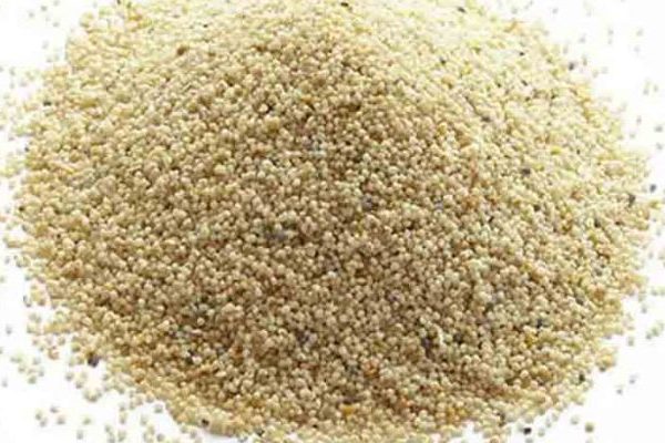 পোস্তদানা (Poppy Seeds)