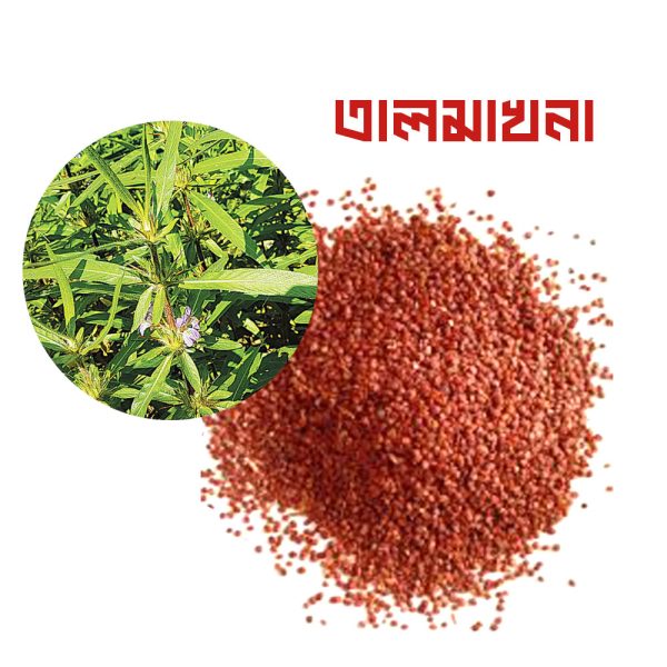 তালমাখনা (Makhana / Fox Nuts)